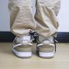 Nike Dunk Low Judge Grey DJ6188-200