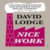 Nice Work by David Lodge Paperback Book 9780099554189