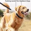 4FT Nylon Braided Rope Traction with Soft Breathable Adjustable Nylon Dog Collar for Small Medium Large Dogs Walking,Hiking,Camping,Exploring