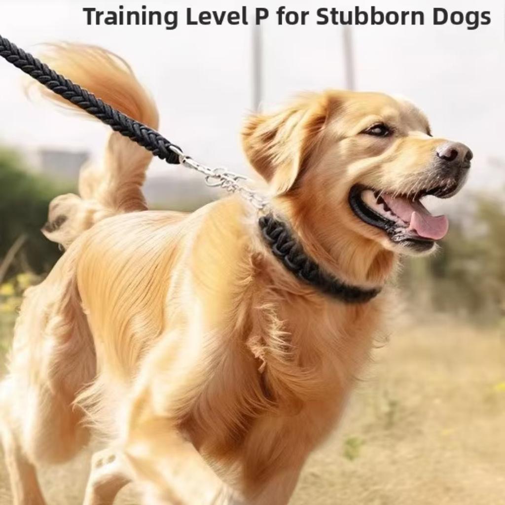 4FT Nylon Braided Rope Traction with Soft Breathable Adjustable Nylon Dog Collar for Small Medium Large Dogs Walking,Hiking,Camping,Exploring
