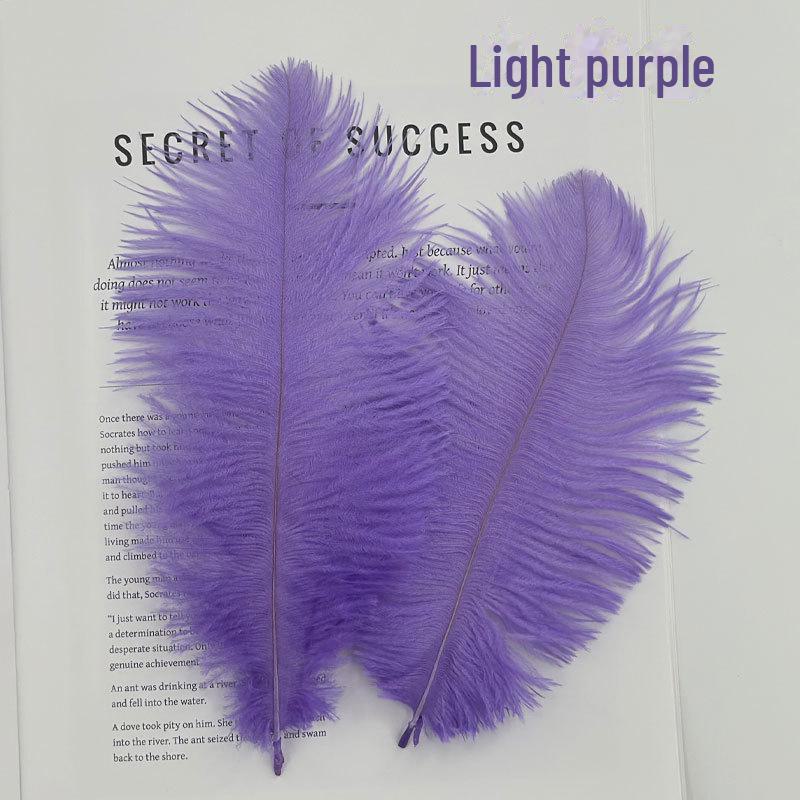 Barevné zavírače na dorty z pštrosího peří a příslušenství