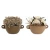 Artificial Decorative Plant - Home ESPRIT - 22x22x14 Cm - Multicoloured - 2 Units - Interior Decoration