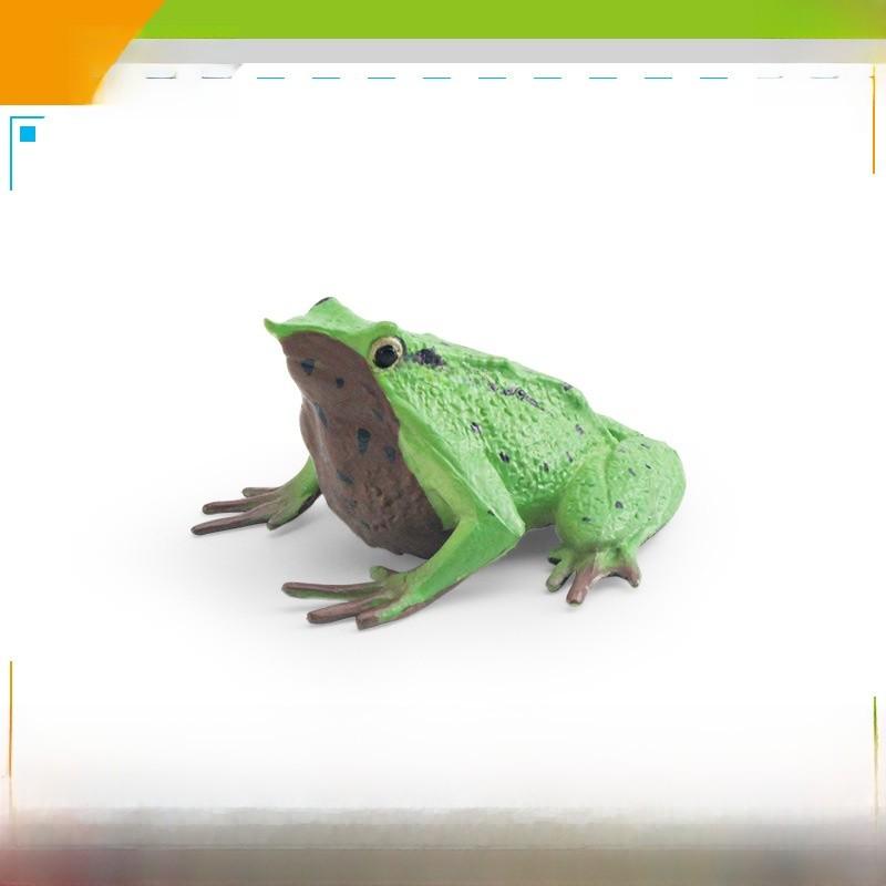 Wildlife Pvc Animal Models With Realistic Frog Collection For Children Educational Decor
