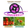 USB LED Grow Light Strip: Full Spectrum 5V 2835 for Vegetable and Flower Growth