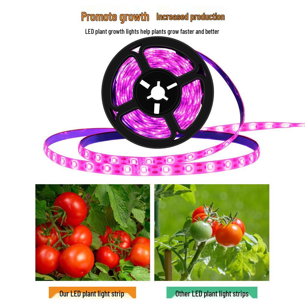 USB LED Grow Light Strip: Full Spectrum 5V 2835 for Vegetable and Flower Growth