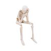 Resin Skull Halloween Decoration Skeleton Craft Decorations Holiday Gifts Party