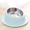 Pet Dishes Bowls with Stand for Kitten Small Dogs Food & Water Bowl 3 Options Tilted Elevated Bowl Protect Pet's Spine