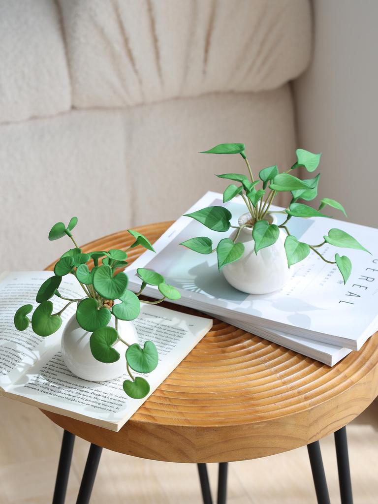 Miniature Succulent Bonsai Desk Ornament: Green Plant Props for Home or Office Decor