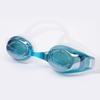 Lishen Large Frame Anti-Fog Mirrored Swimming Goggles