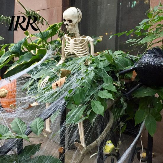 Durable Skeleton Model for Cemetery Theme Halloween Decoration, 3Ft Life Size Full Body Human Bone, Realistic Posable Party Decorations with
