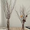 Decorative White Dragon Willow & Mulberry Branches for Windows and Displays