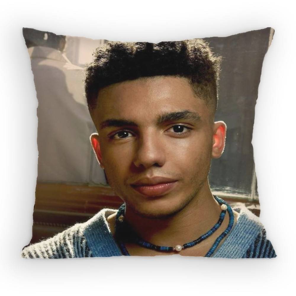Jay Lycurgo Actor Tim Pillow Case Antidustmite Pillowcase Invisible zipper silky short plush Sofa cushion cover