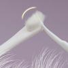 Pet Toothbrush Brush Addition Bad Breath Tartar Teeth Care Dog Cleaning Mouth Dog Care Supplies