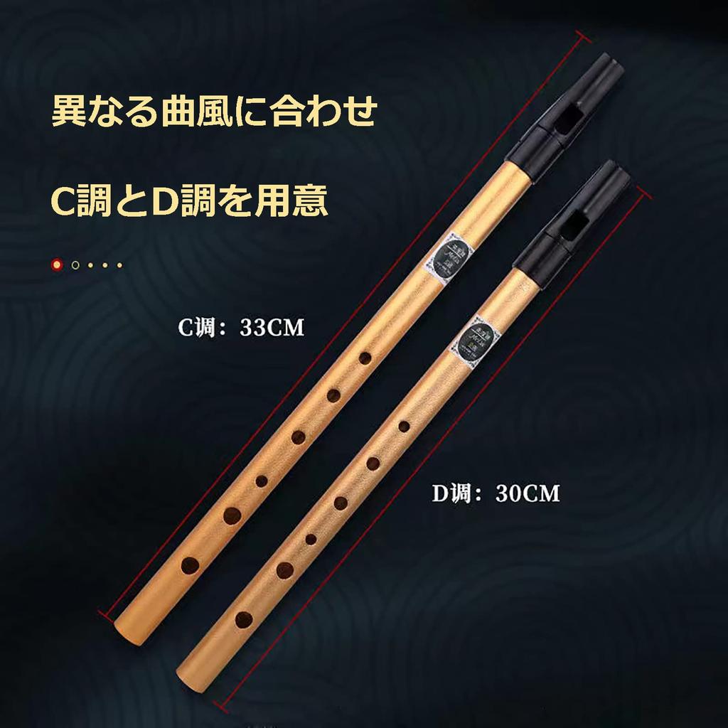 Jinchuan Tin Whistle, Aluminum, D-Flute, C-Flute, with Instructional Materials, Storage BagCase, Gold and Silver (Silver, D Key)