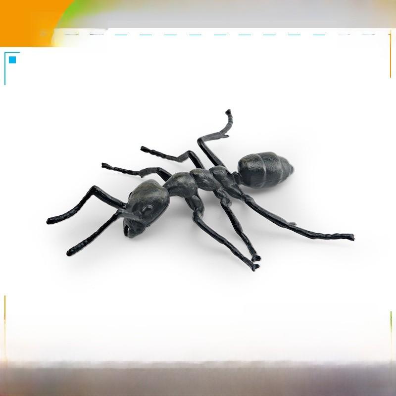 Realistic Insect Spider Scorpion Ant Animal Models For Kids Educational Play Pvc Decor Educational Gift