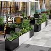 Wrought Iron & Stainless Steel Outdoor Flower Box Divider Fence for Courtyards and Commercial Spaces