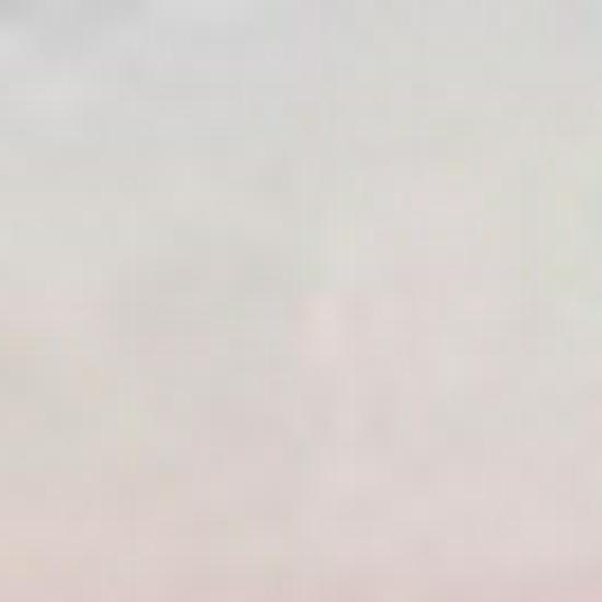 14g Colored Tissue Paper for Christmas Decoration & Kids' Crafts, Fresh Flower Wrapping