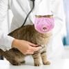 Adjustable Anti-Bite Muzzle Breathable Kitten Muzzle Puppy Headgear Cat Mouth Cover Nail Trimming