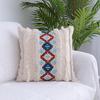 Cover Tufted Throw Case with Tassel Square Rectangle Woven Decorative Sofa Bedding Cushion