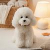 30cm 35cm 40cm Realistic Teddy Dog Lucky Simulation Dog Poodle Plush Toys Handmade Realistic Figure Toy Plush Stuffed Animals