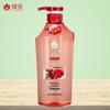 Fenghua Silicone-Free Pomegranate Nourishing Shampoo
