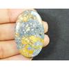 50Cts. Natural Maligano Jasper Oval cabochon Palm Crytsal Gemstone 26X41MM SK-2668