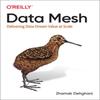 Oreilly Data Mesh Paperback