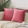 Throw Pillow Covers 16x16 Set Of 2 Velvet Decor Decorative Couch Cushion Pillowcases With Fringe Home Bed Decoration For Sofa Bedroom