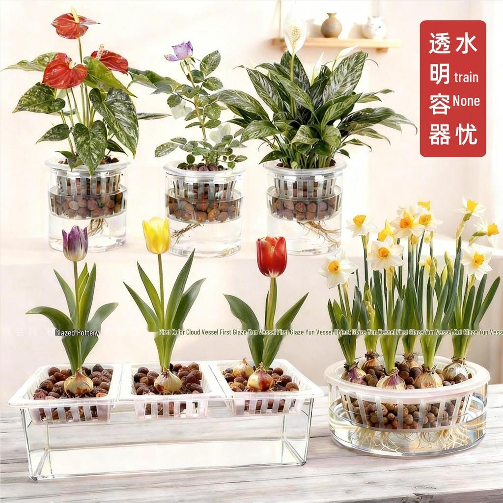 Large Transparent Vase for Hydroponic Plants: Coin Plant, Orchids, Money Tree, Plastic Flower Pot