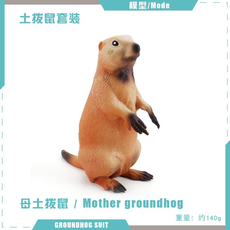 Entzückende PVC-Eichhörnchen-Modellsammlung mit lebensechten Details für Kinder