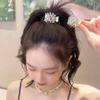2022 Summer Celebrity Shark Claw Clip: Women's High Ponytail Hair Accessory