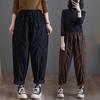 Spring and Autumn Winter Pants Haren Pants Loose and Plush Thick Pants Women's Plus Size