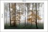 Photomural Forest In Fog Washable Fleece 104x70.5