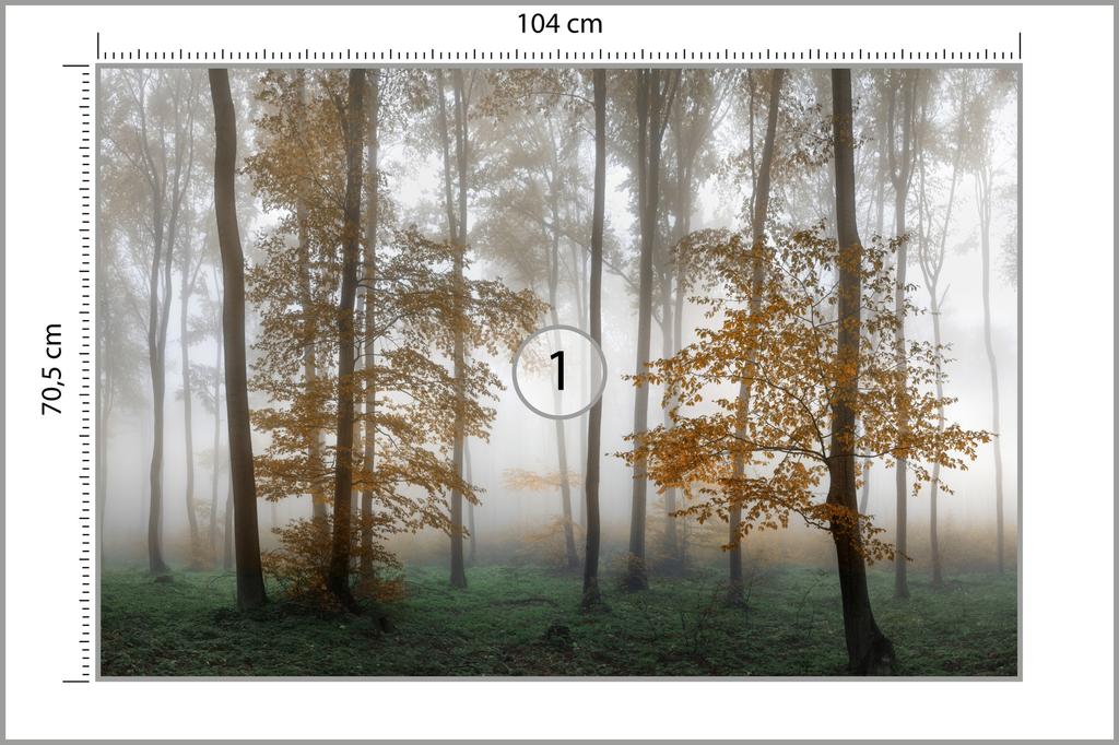 Photomural Forest In Fog Washable Fleece 104x70.5