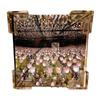 Handmade DIY Tulip Night Light 3D Magic Mirror – Perfect Birthday Gift for Couples or Friends