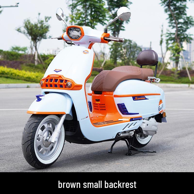 

Victoria VICTORIALJ150T Aluminum Alloy Rear Rack Folding Backrest Tail Bag Accessories