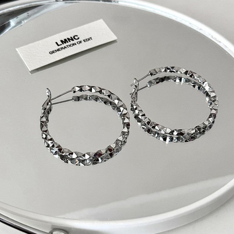 Silver Needle Autumn and Winter Metal Earrings Earrings Niche Fashion Cold Wind Earrings Versatile Light Luxury Premium Earrings