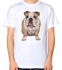 English Bulldog T-Shirt Men Women Unisex Top