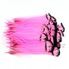 10pcs Lady Amherst Feather Tippet Nymph Wet Streamer Wing Tag Tail Fly Tying Material Salmon Steelhead Fishing Fly Tying