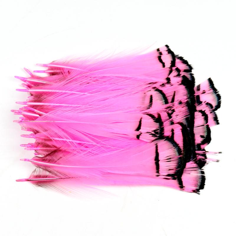 10pcs Lady Amherst Feather Tippet Nymph Wet Streamer Wing Tag Tail Fly Tying Material Salmon Steelhead Fishing Fly Tying