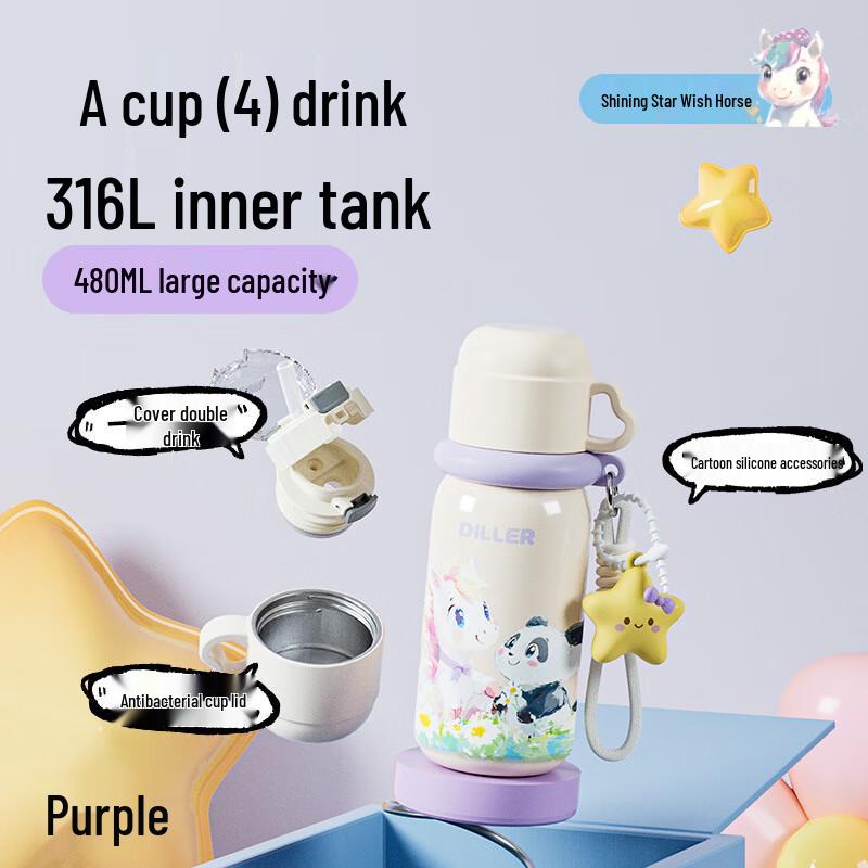 Diller Student Insulated Bottle