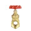 BENXINNONG Internal Thread Brass Gate Valve