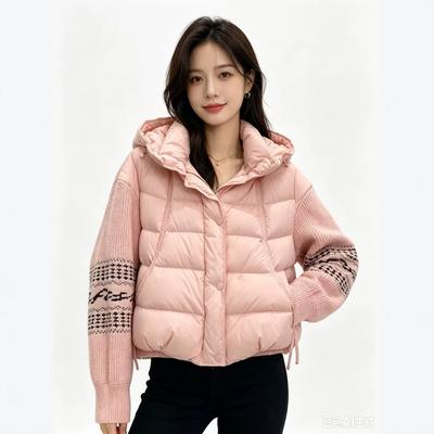 Winter New Fashion Splicing Down Jacket Women's Short Thickened Warm White Duck Down Jacket Tide