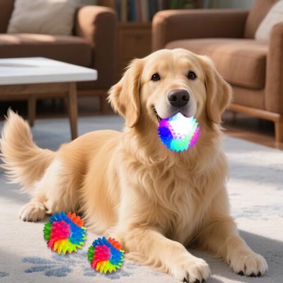 Köpek – Köpek oyuncakları