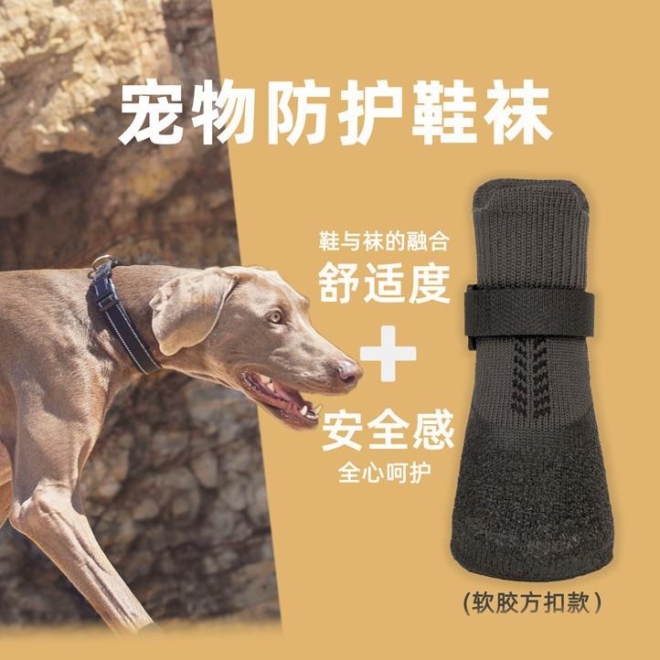Outdoor Dog Shoes for Pet