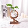 Creative Hydroponic Plants Transparent Glass Wooden Frame Vase Green Ivy Plant Simple Desktop Modern Decoration Ornament