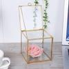 Maceta geométrica de vidrio con borde dorado para plantas, contenedor para plantas suculentas, decoración para el hogar y el paisaje