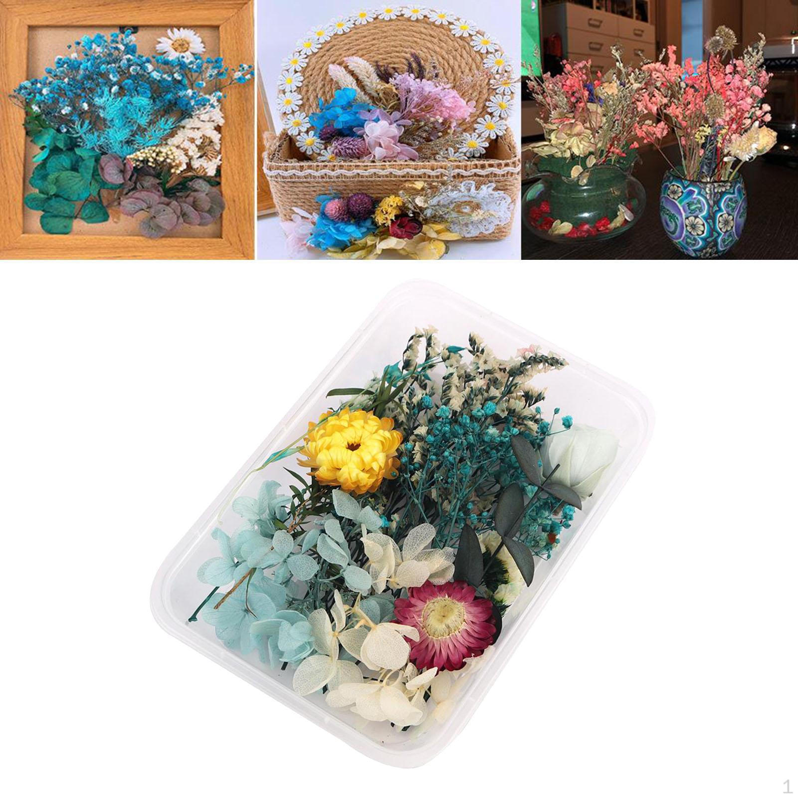 1 of box Dried Pressed Flowers Real for Scrapbooking DIY Candle Decoration Resin Jewelry Style 6
