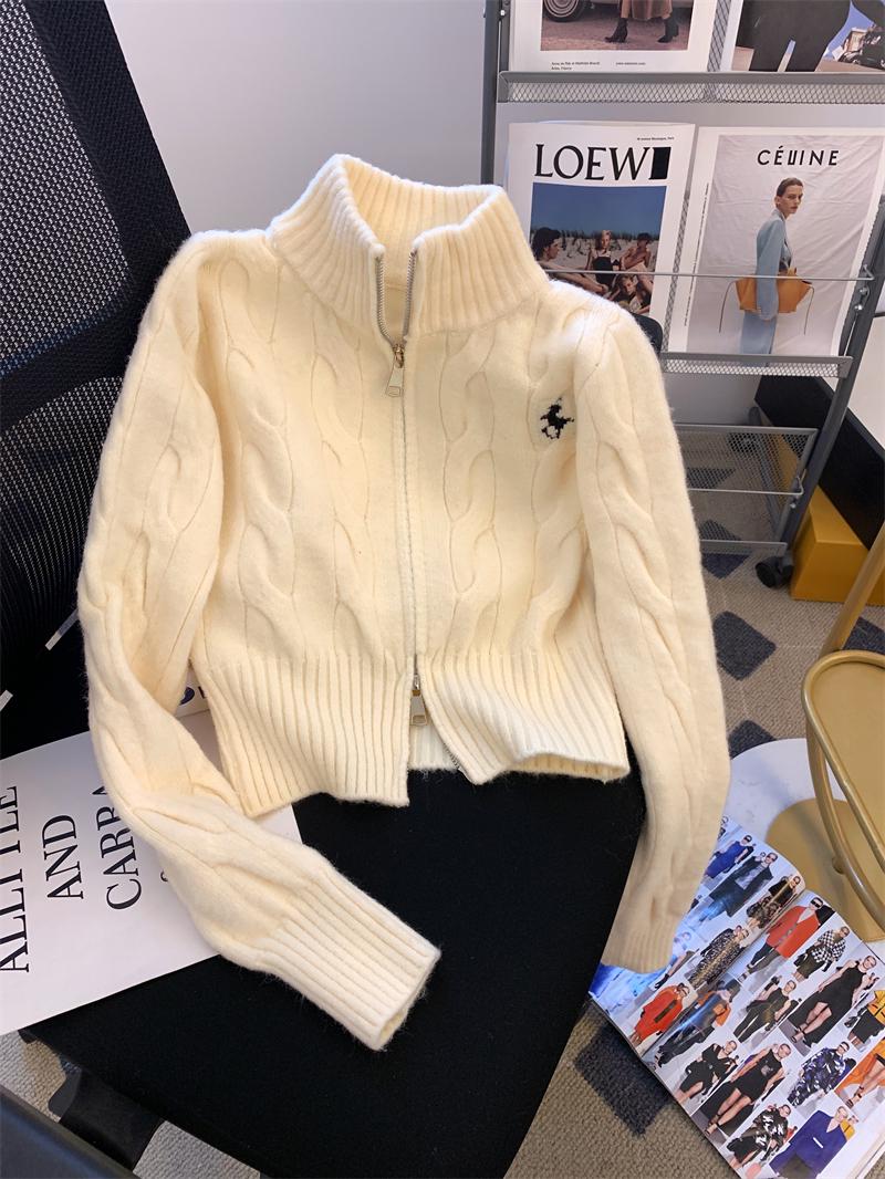 

Женский осенний корейский кардиган на молнии в стиле ретро с кабельным узором и вышитым воротником-стойкой One Size абрикосовый