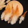 50Pcs Real Chicken Rooster Feathers 7-15cm For DIY Wedding Gown Decorations Handmade Home Crafts Projects